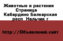  Животные и растения - Страница 10 . Кабардино-Балкарская респ.,Нальчик г.